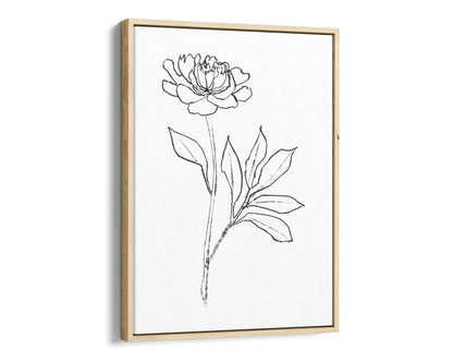 Minimalist black-and-white line drawing of a peony flower on natural wood framed canvas, featuring delicate petals and leaves against a white background.