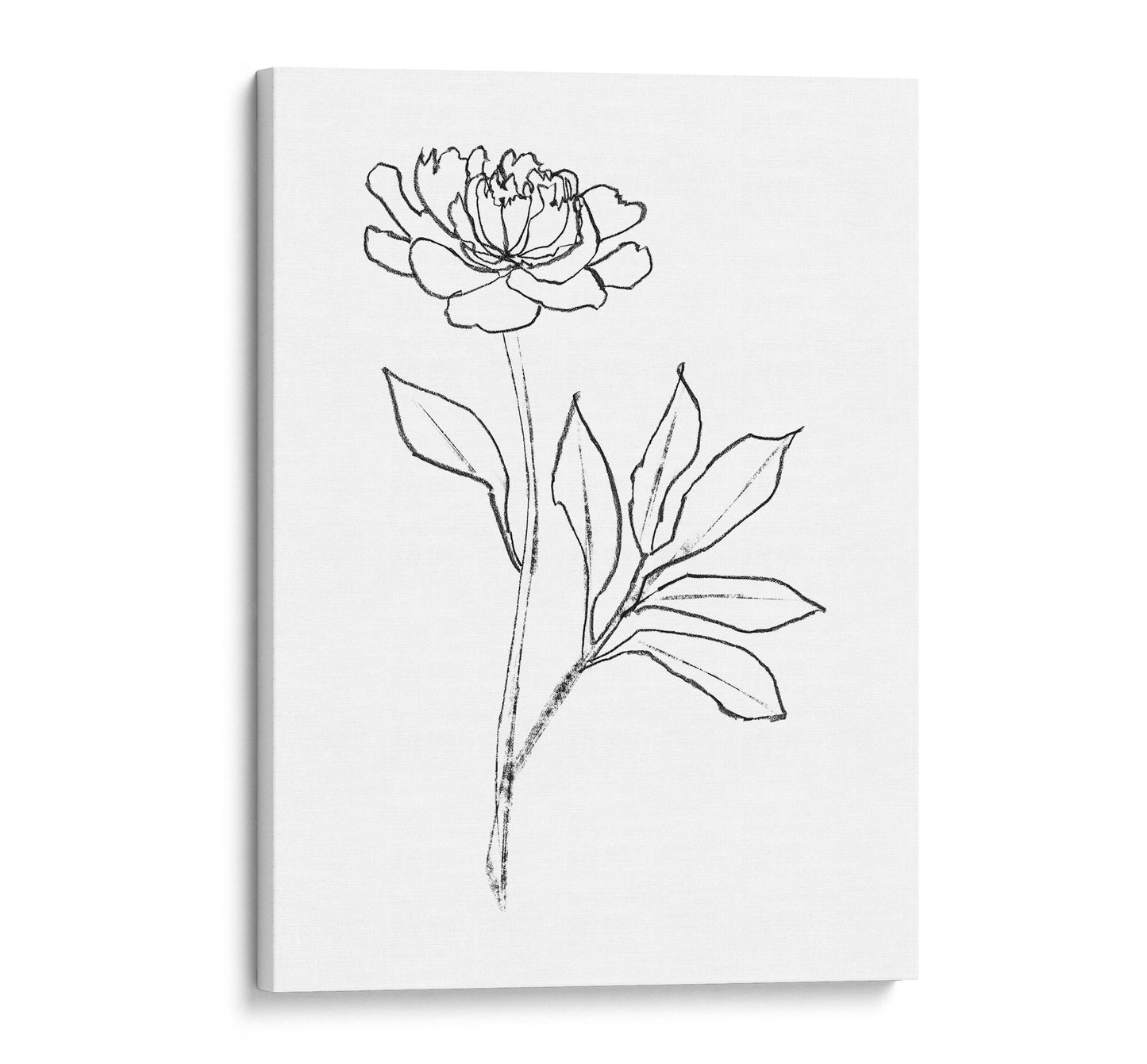 Black-and-white line drawing of a peony flower printed on canvas, featuring delicate petals and leaves against a white background.