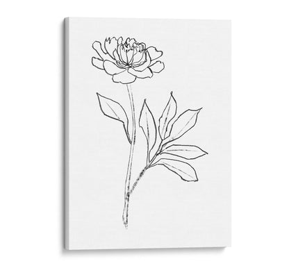 Black-and-white line drawing of a peony flower printed on canvas, featuring delicate petals and leaves against a white background.