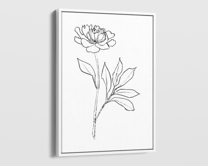 Minimalist black-and-white line drawing of a peony flower on white framed canvas, featuring delicate petals and leaves against a white background.
