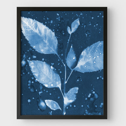 Rainy Leaves Cyanotype Print