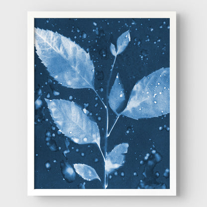 Rainy Leaves Cyanotype Print