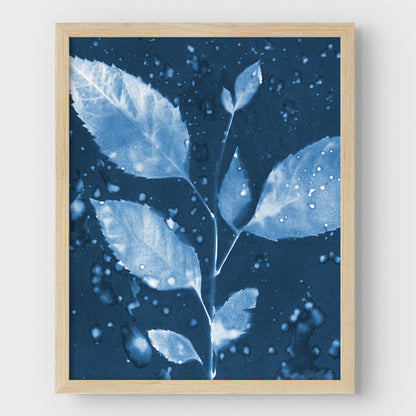 Rainy Leaves Cyanotype Print