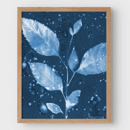 Rainy Leaves Cyanotype Print