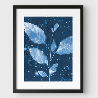 Rainy Leaves Cyanotype Print