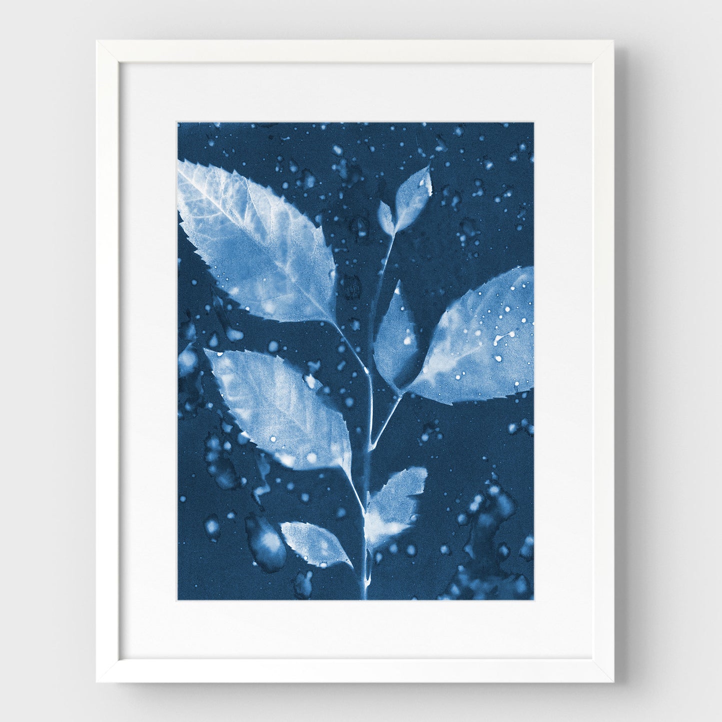 Rainy Leaves Cyanotype Print