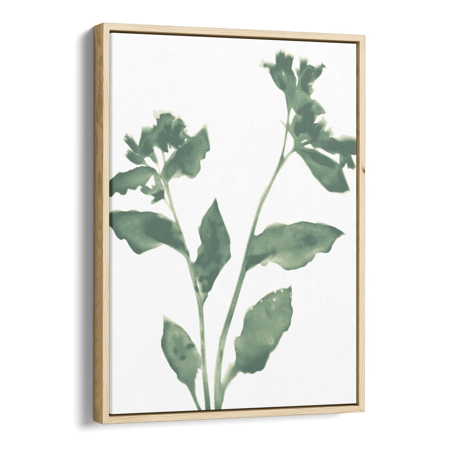 Sage Green Flower Silhouette Modern Botanical Print