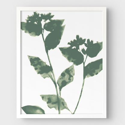 Sage Green Flowers Modern Minimalist Botanical Print