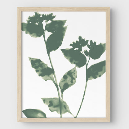 Sage Green Flowers Modern Minimalist Botanical Print