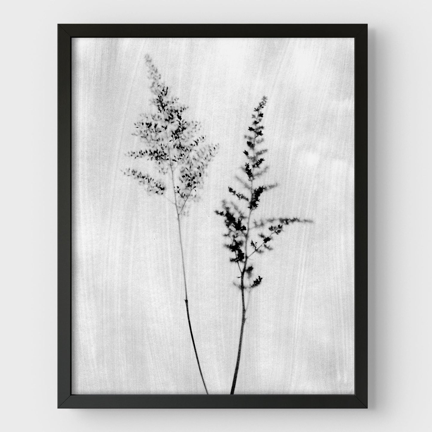 Black and White Wildflower Print