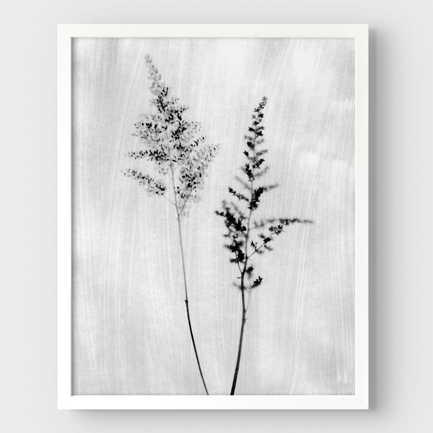 Black and White Wildflower Print