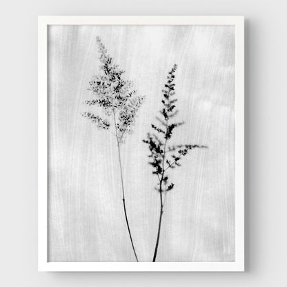 Black and White Wildflower Print