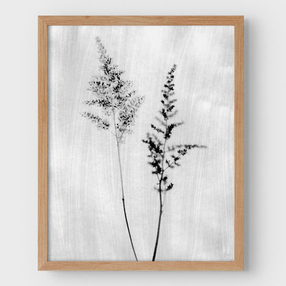 Black and White Wildflower Print