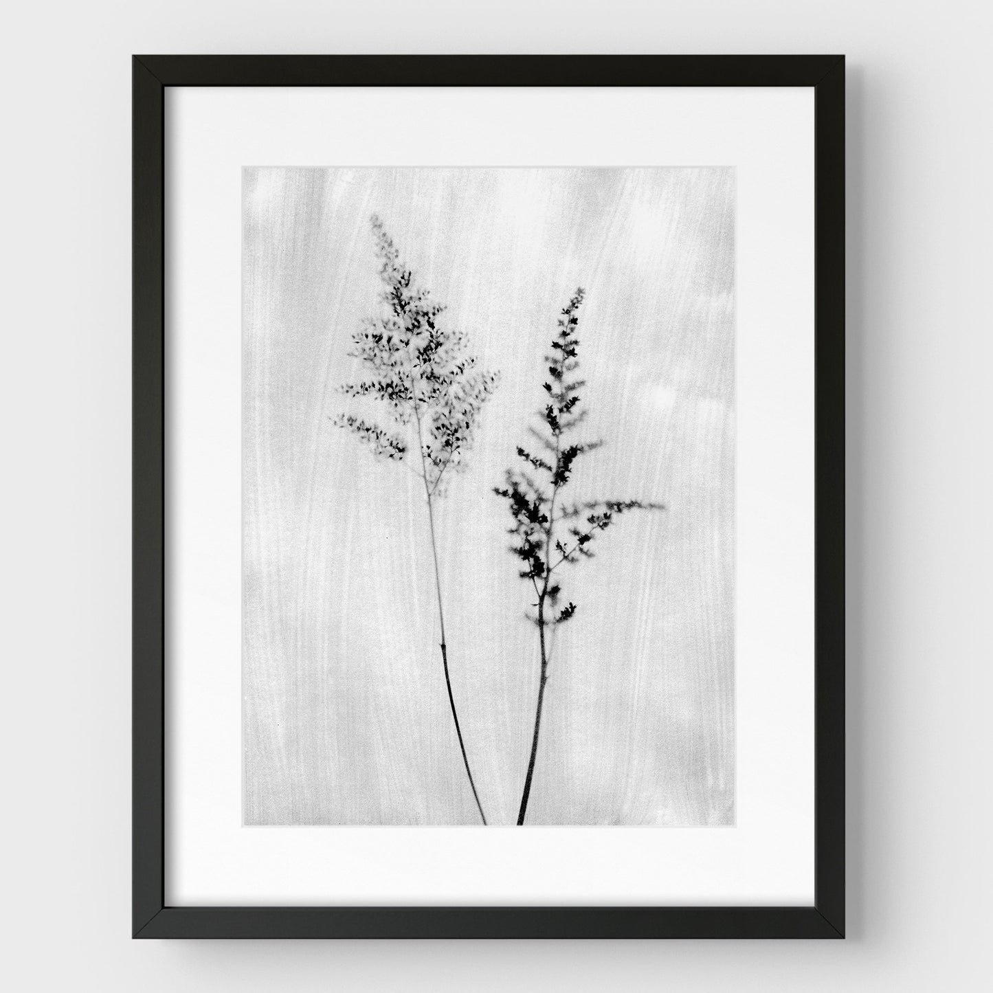 Black and White Wildflower Print