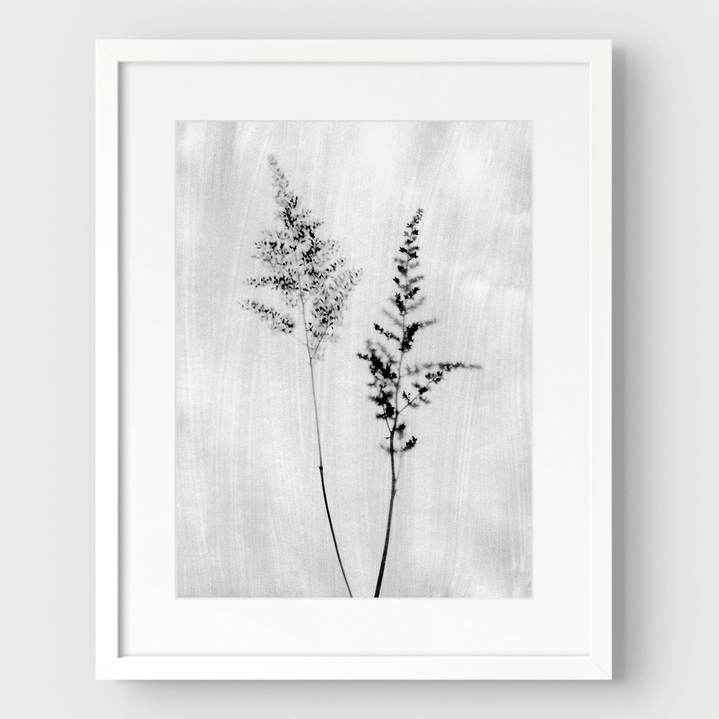 Black and White Wildflower Print
