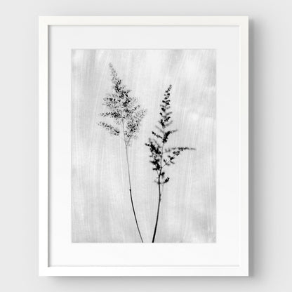 Black and White Wildflower Print