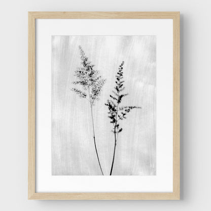 Black and White Wildflower Print