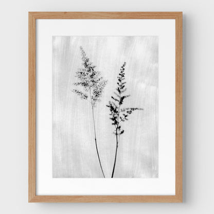 Black and White Wildflower Print