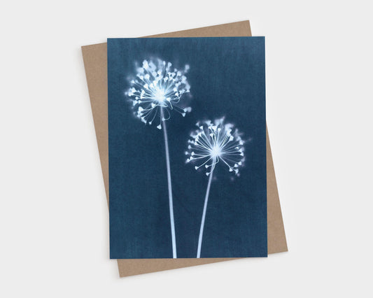 Greeting card featuring a botanical cyanotype print of two delicate dandelion flower heads with radiating stems and soft white blooms against a deep indigo blue background.